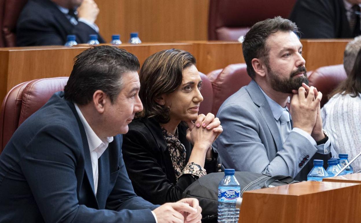 Los procuradores de UPL durante el pleno en las Cortes de Castilla y León.