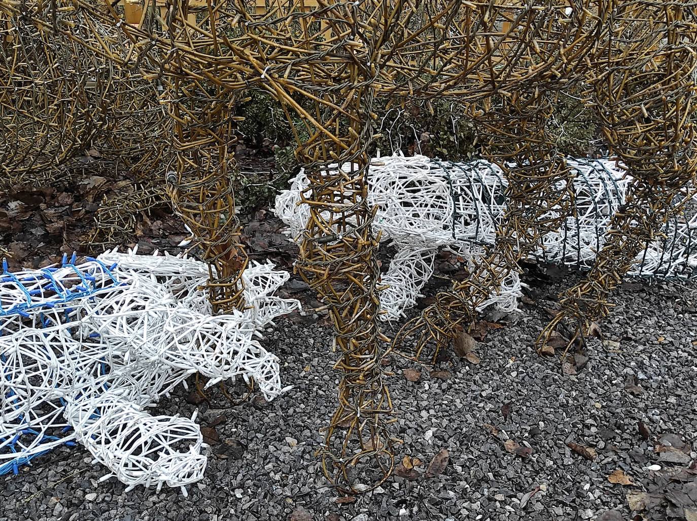 Los reyes magos y uno de los camellos aparecen en el suelo.