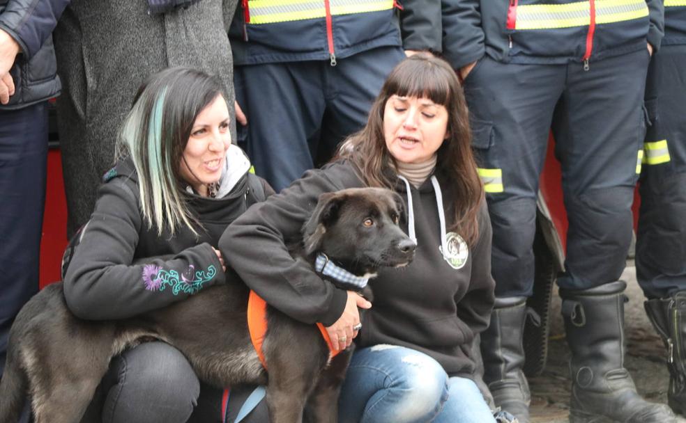 El concejal de Bomberos, Álvaro Pola, acompañado del jefe de Bomberos, Omar Álvarez, y de representantes de la Asociación Protectora de Animales y Plantas de León en la presentación de un calendario solidario.