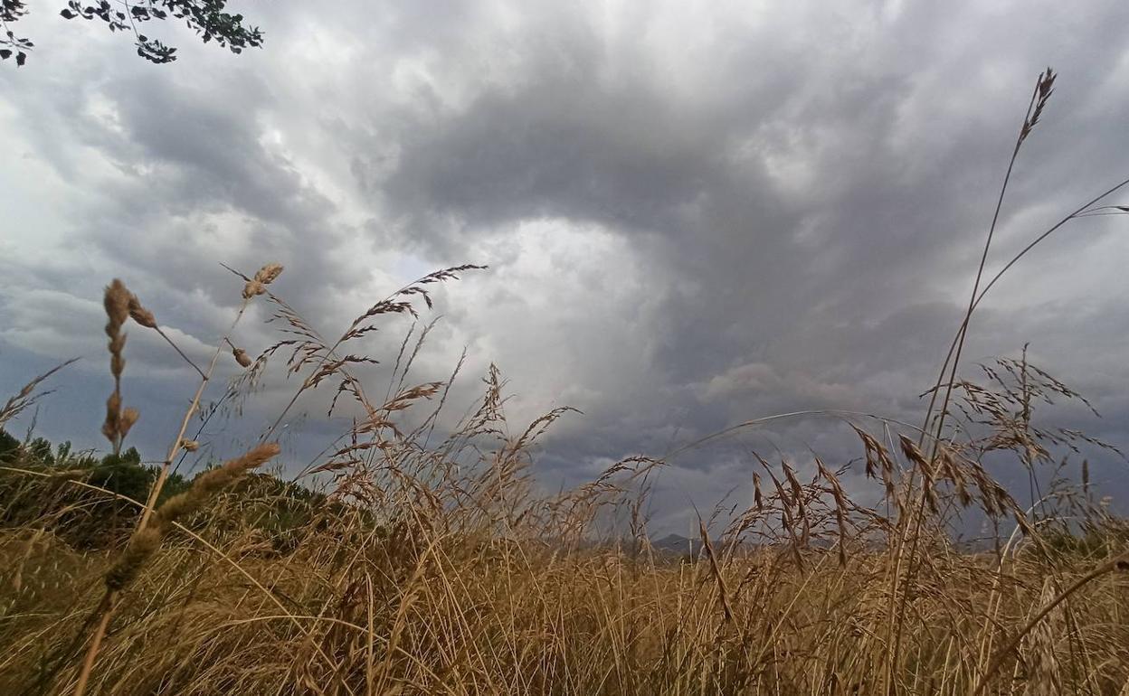 La jornada de este miércoles estará marcada en León por cielos cubiertos y fuertes rachas de viento en el norte.