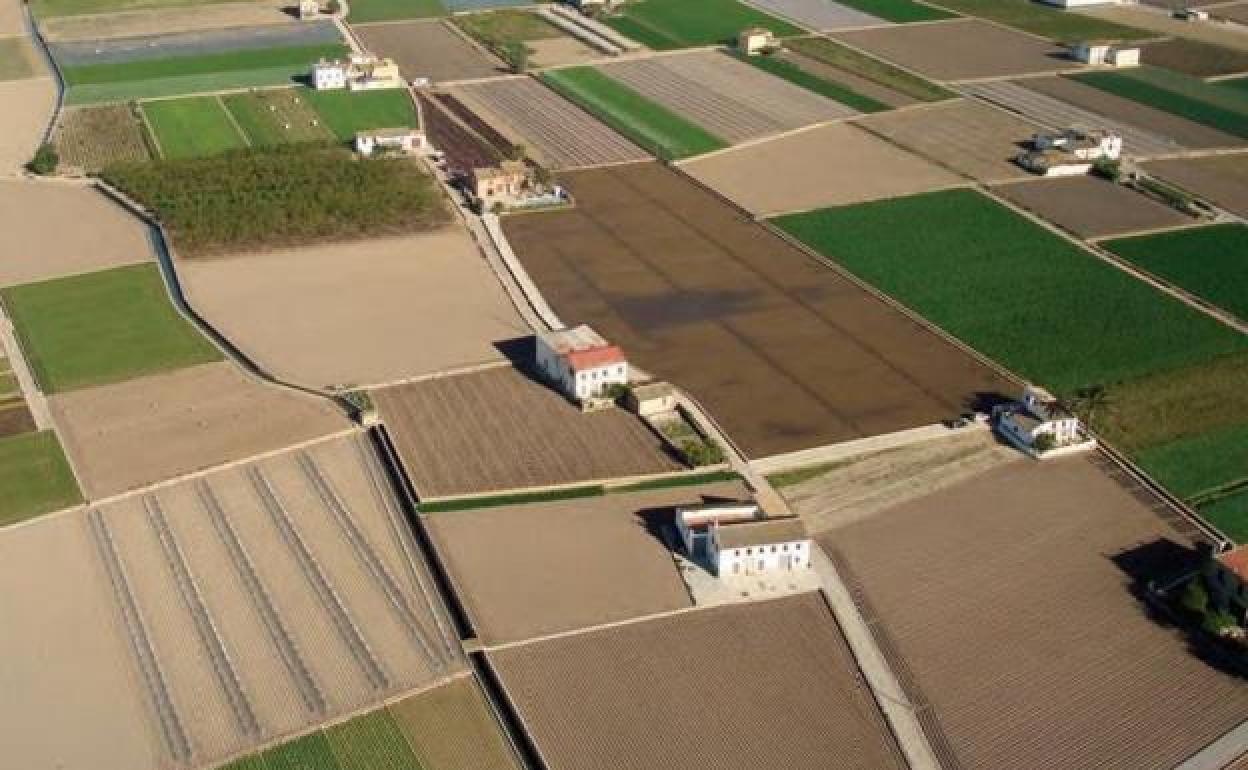 Grupos de acción local en Castilla y León.