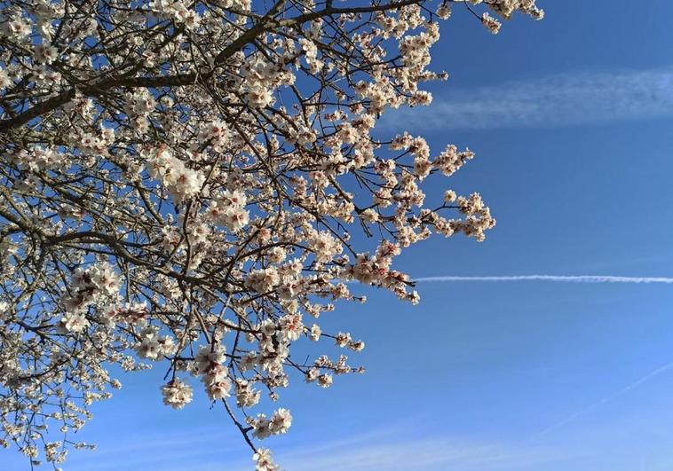 La primavera se adelanta en León: las máximas rozan los 20 grados