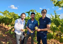 Marcos Crespo, Nacho Rodríguez e Iván Gonçalves, en el viñedo de Valdevimbre (León), donde elaboran su vino ecológico Orbajo.