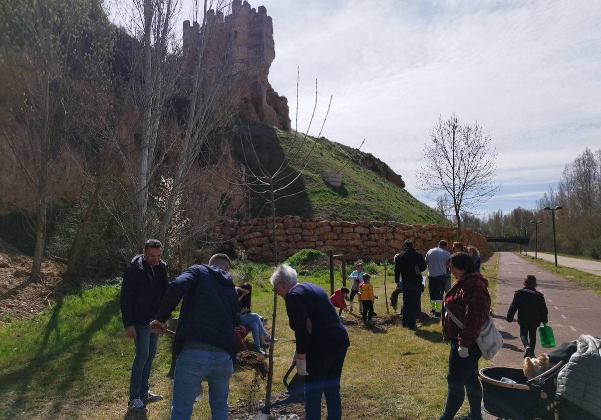 Nuevos árboles en el paseo del río de Valencia de Don Juan