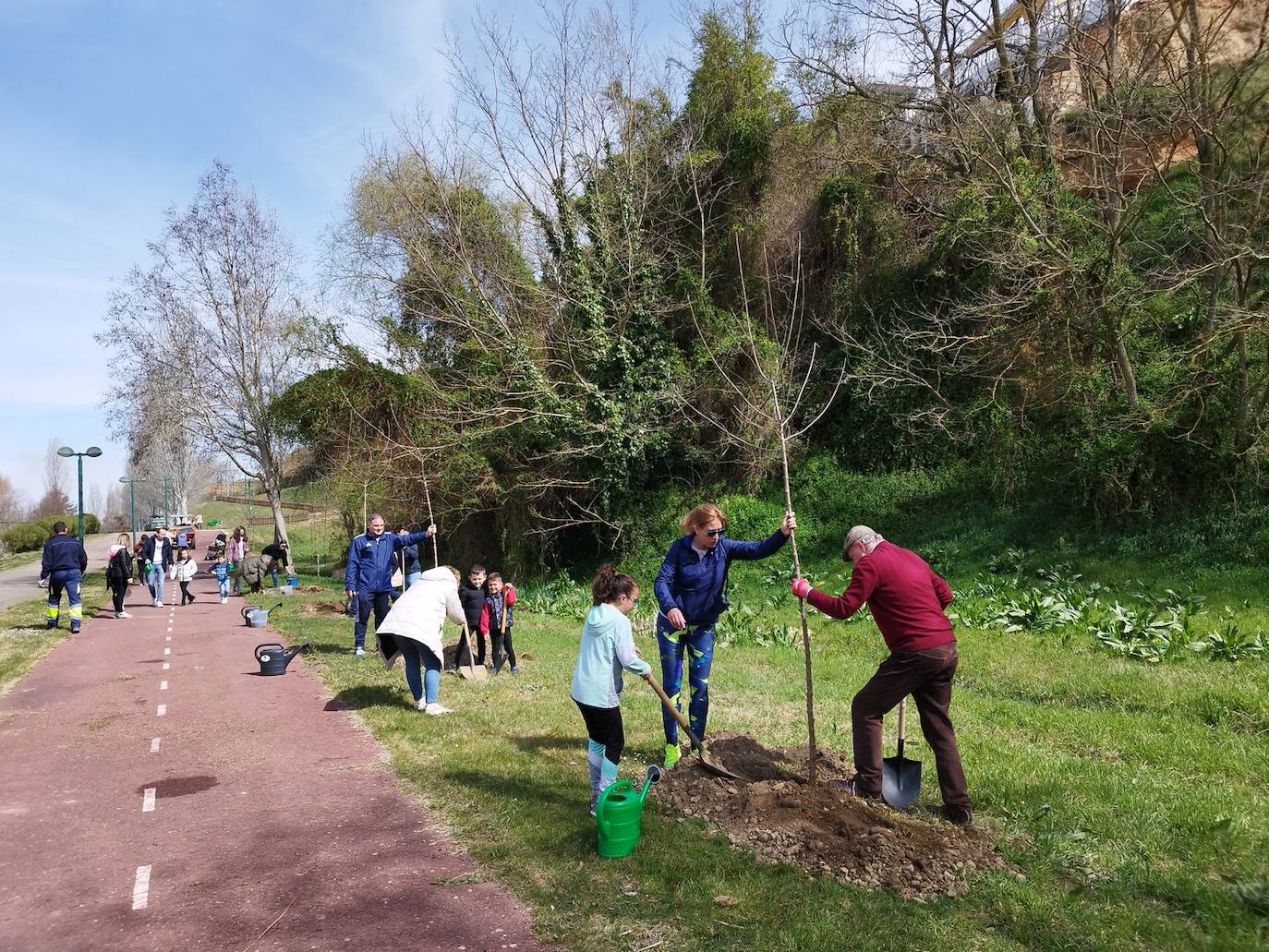 Nuevos árboles en el paseo del río de Valencia de Don Juan