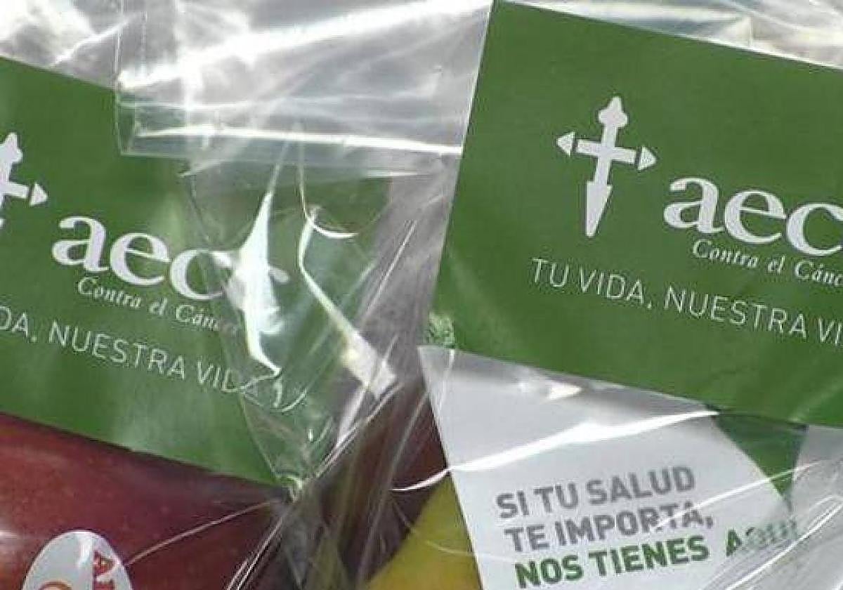 La Asociación Contra el Cáncer de León recibe el martes la Medalla de Oro de la ciudad