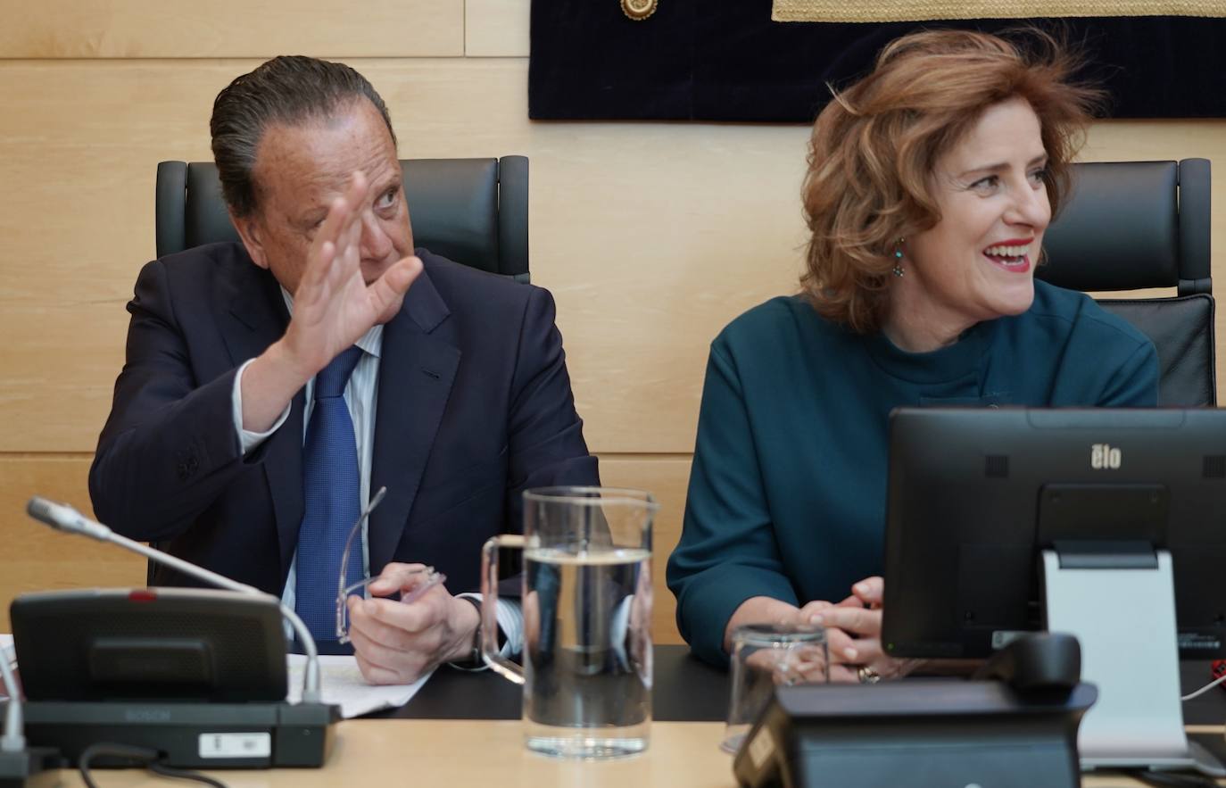 El presidente del Consejo de Cuentas comparece en la Comisión de Economía y Hacienda de las Cortes