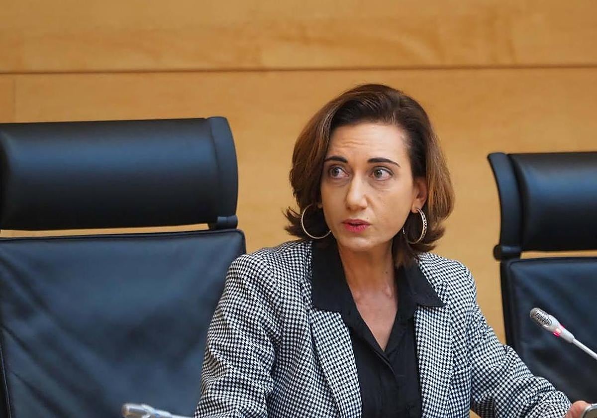 Alicia Gallego interviene en las Cortes de Castilla y León.