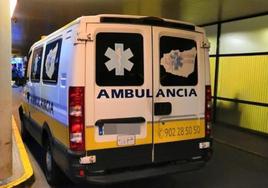 Una ambulancia de Sacyl tuvo que desplazarse hasta Valdelafuente.