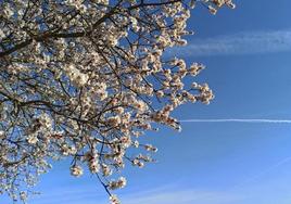 El predominio serán de cielos azules durante la joranda del Domingo de Ramos.