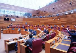 Pleno de las Cortes de Castilla y León.