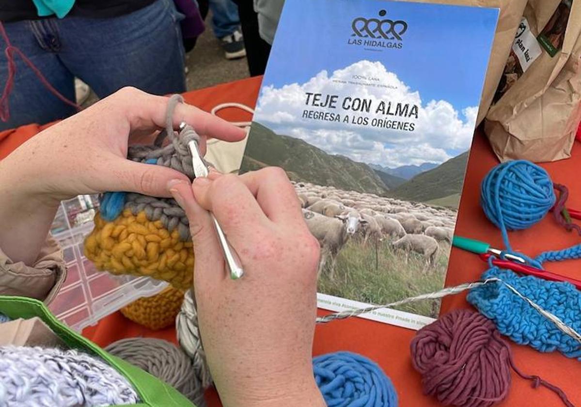 Salamón celebra el Día europeo de la lana