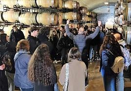 Visitas a diferentes empresas vitivinícolas dentro de este proyecto.