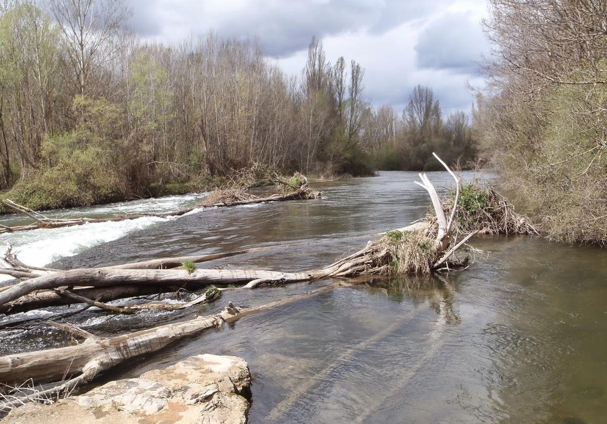 Imagen del río Porma, en el que Asaja se opone a la reducción del caudal.