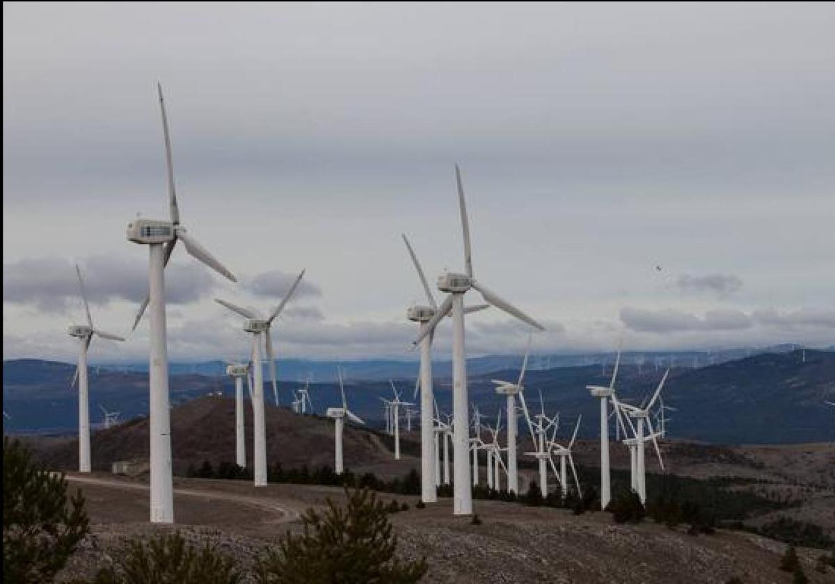 Parque eólico instalado en una provincia de Castilla y León.