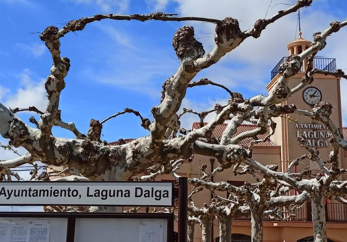 Ayuntamiento de Laguna Dalga.