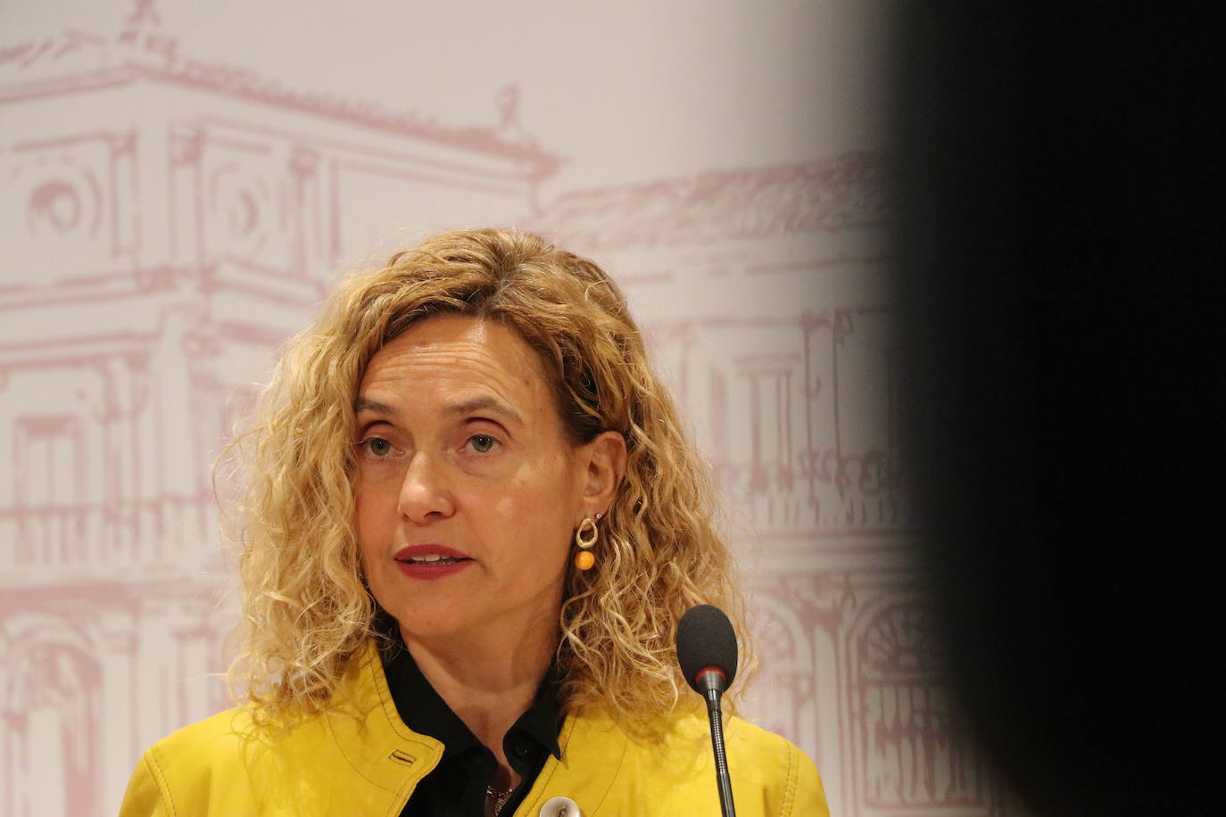 Meritxell Batet en León