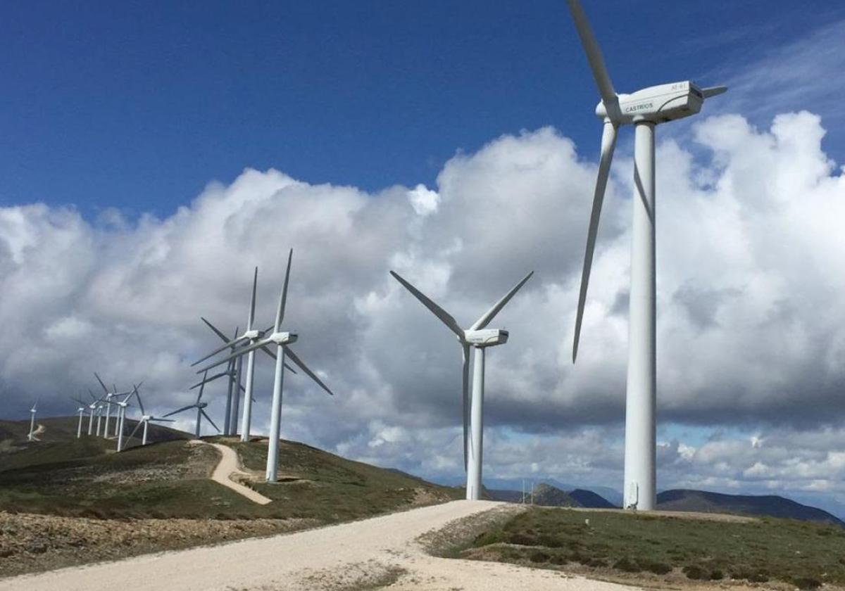 Imagen de un campo lleno de aerogeneradores.