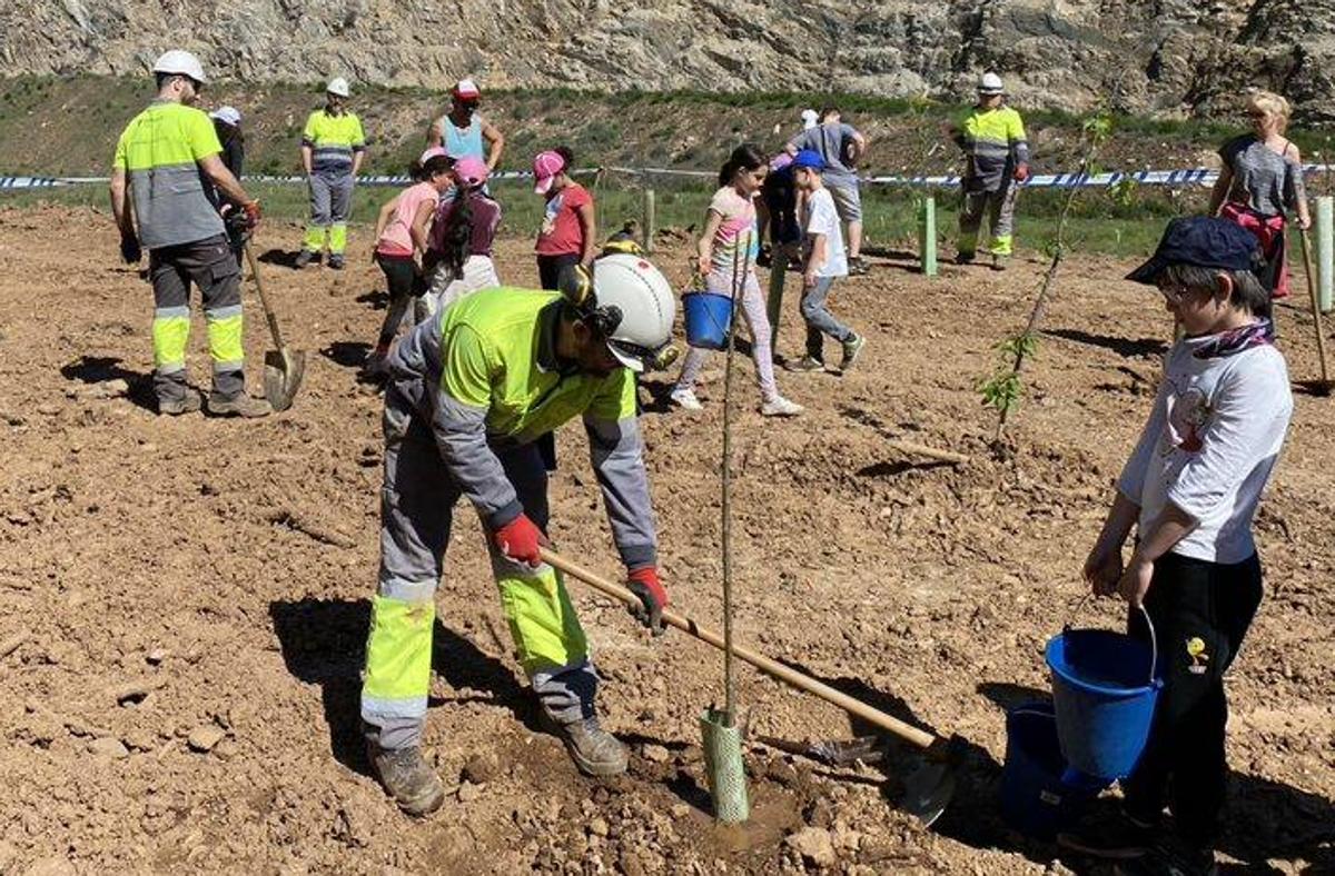 Los alumnos plantaron árboles frutales y pinos en la cantera de Cosmos.