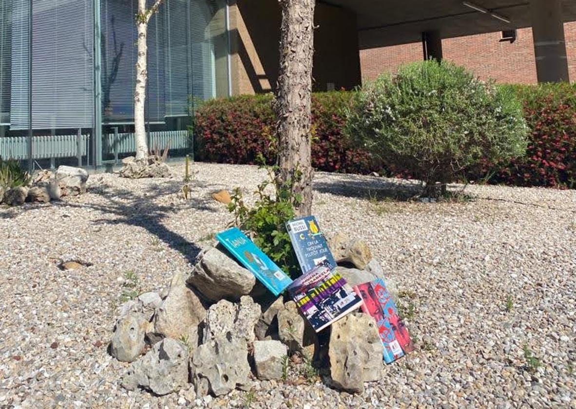 La Escuela de Idiomas celebrará el Día del Libro liberando novelas por León.