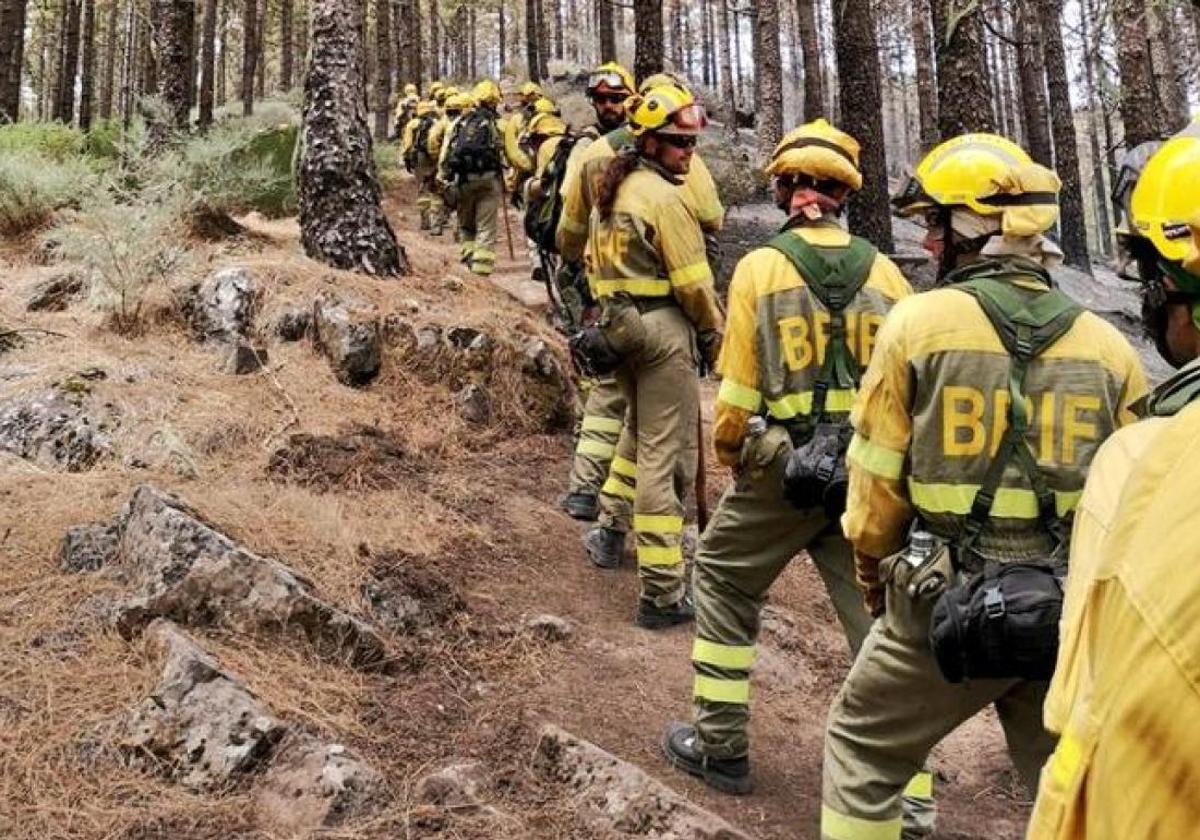 Brigadas forestales durante un incendio declarado en León.