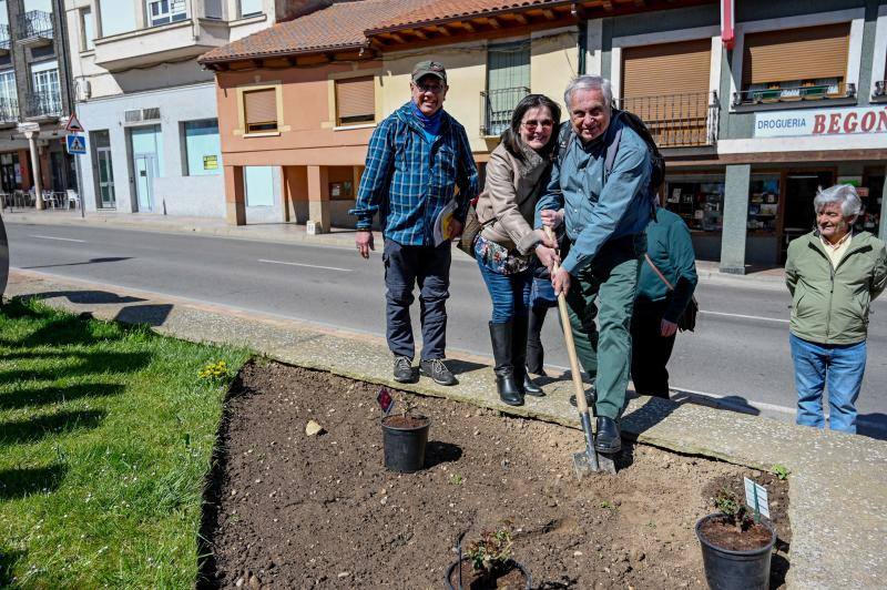 La Rosa Peregrina recorrer el Camino de Santiago en León