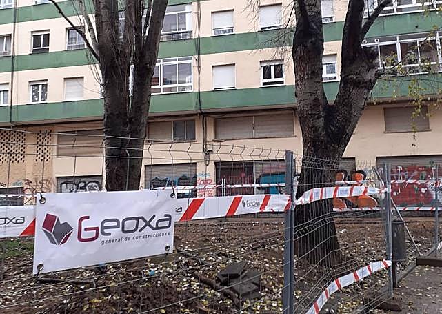 Los dos álamos que han sido talados en San Mamés.