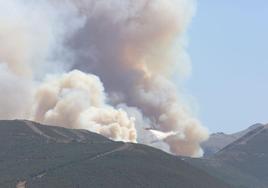 Imagen de archivo del incendio de La Cabrera.