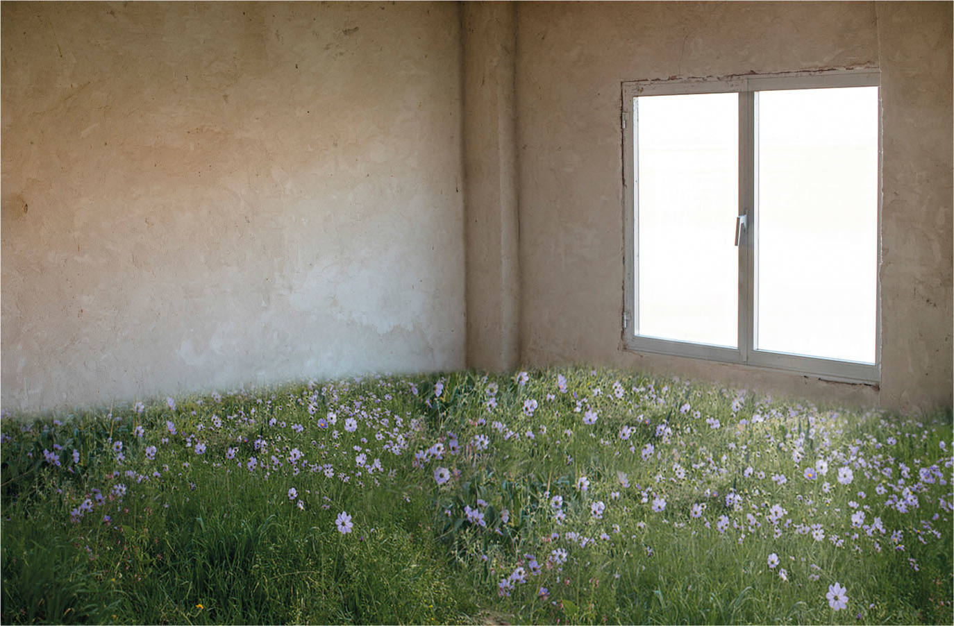 Premios de Expositivos 2023