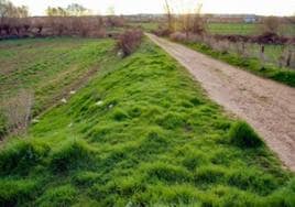 Camino de La Raya en el que existe un tramo de vía romana bimilenaria