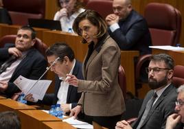 Alicia Gallego, procuradora de UPL en las Cortes, durante su intervención en el pleno.