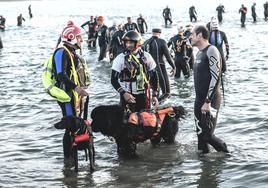 Actividad acuática en la que han participado los perros leoneses.