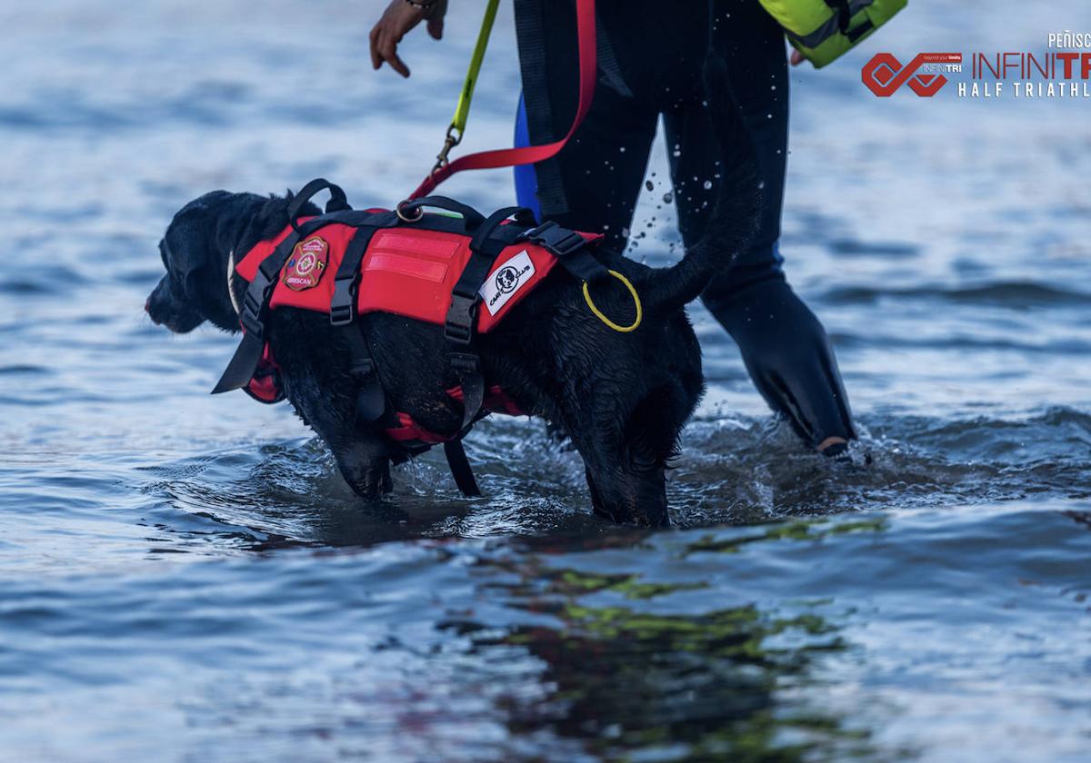 Pedigrí leonés para el mar