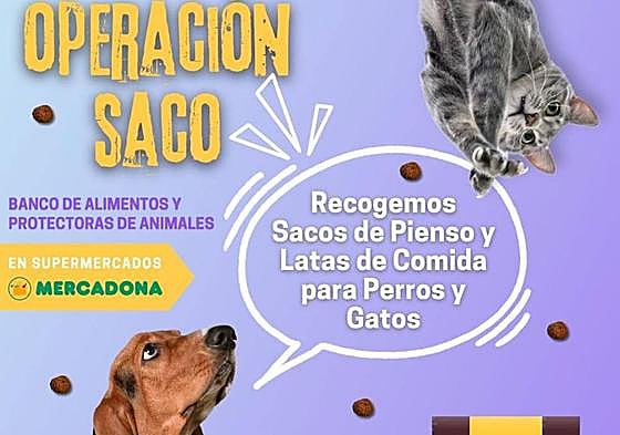 Cartel de la Operación Saco de este año en León.
