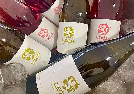 Botellas de las diferentes variedades de la DO León