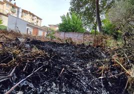 Zona quemada en este área de Valencia de Don Juan.