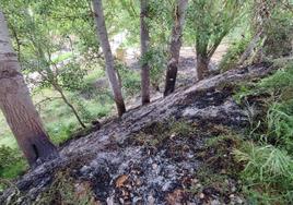 Imagen de la zona afectada por el fuego en la ladera del río.