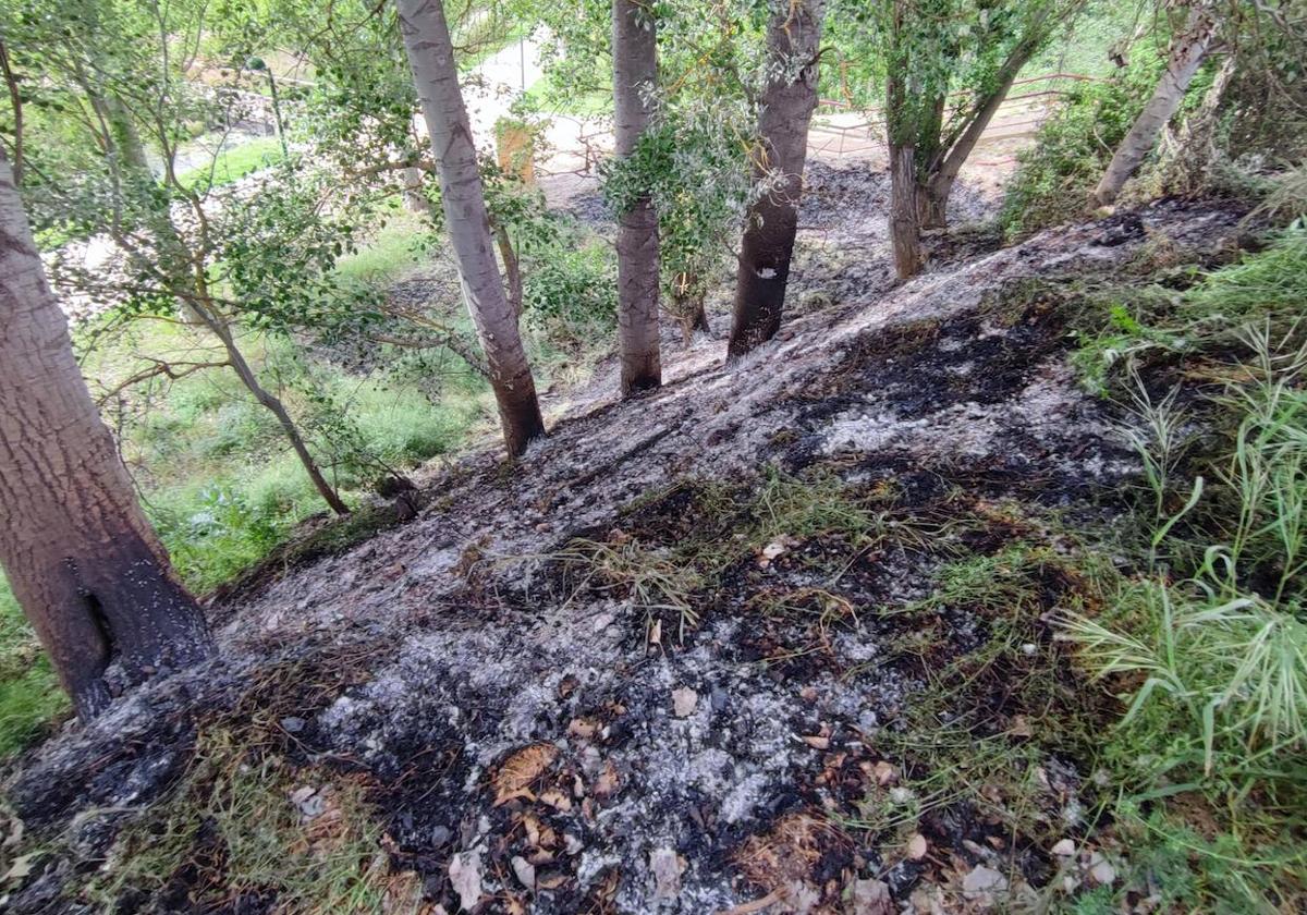 Imagen de la zona afectada por el fuego en la ladera del río.