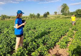 El Gobierno y la Universidad de León prorrogan su convenio para el Campus Rural