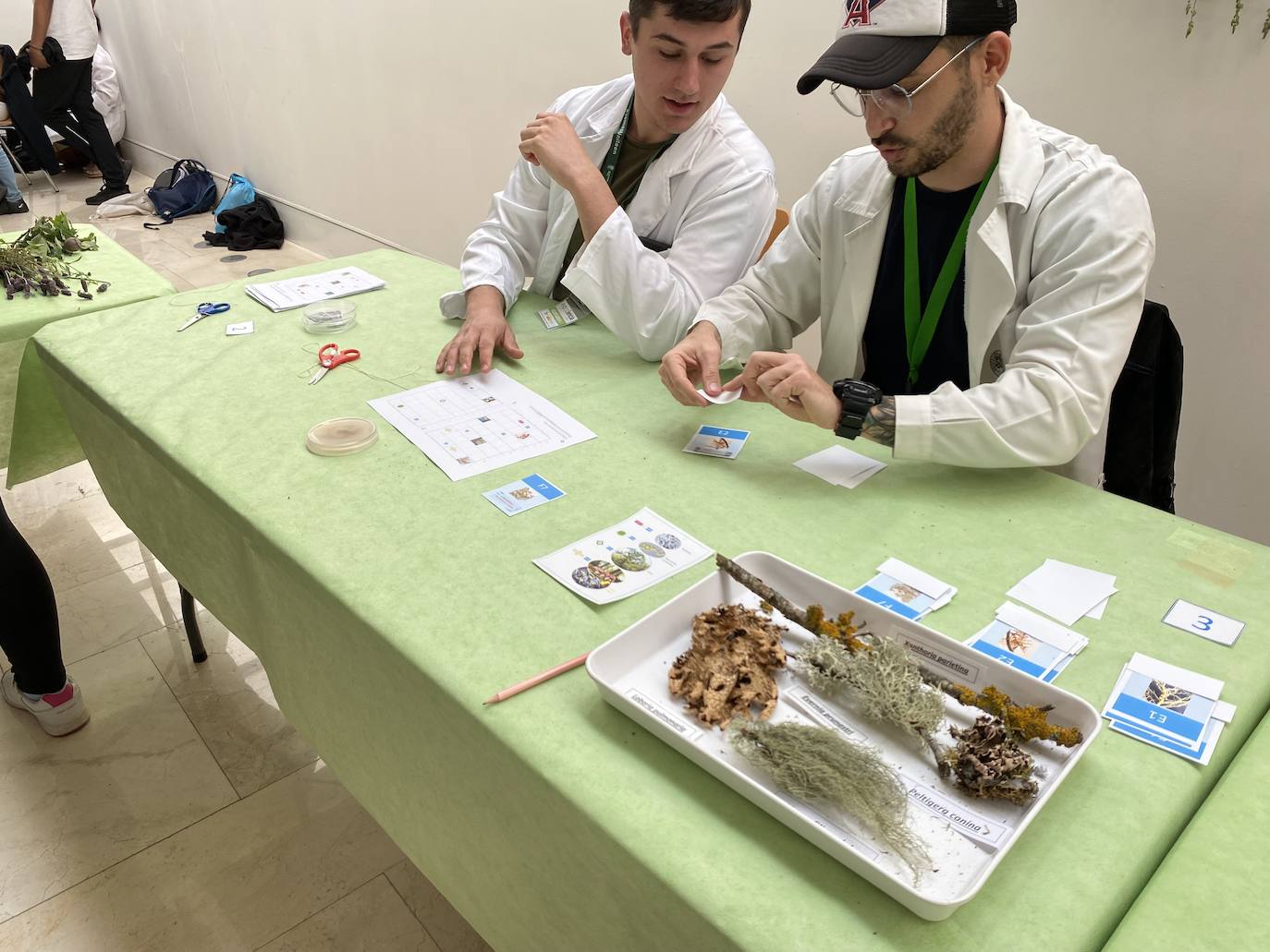 Expociencia en Ponferrada