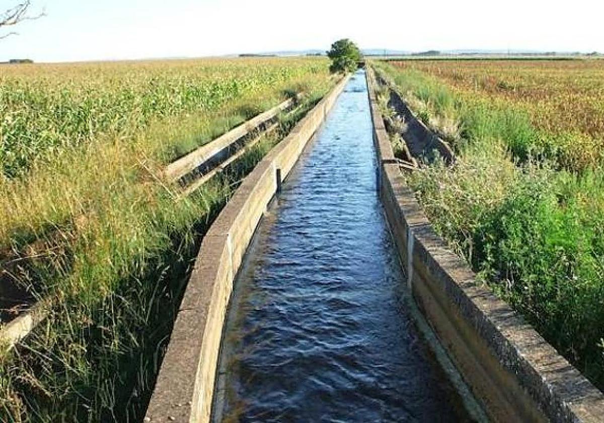 Se han establecido turnos de riego para el Sistema Torío-Bernesga que semanalmente establecerá la Guardería Fluvial del Organismo.