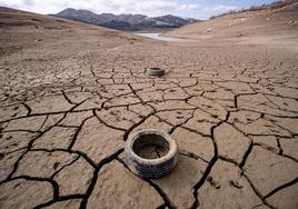 El efecto de la sequía se traslada de los pantanos al campo, en los que la ausencia de lluvia está provocando millonarios daños.