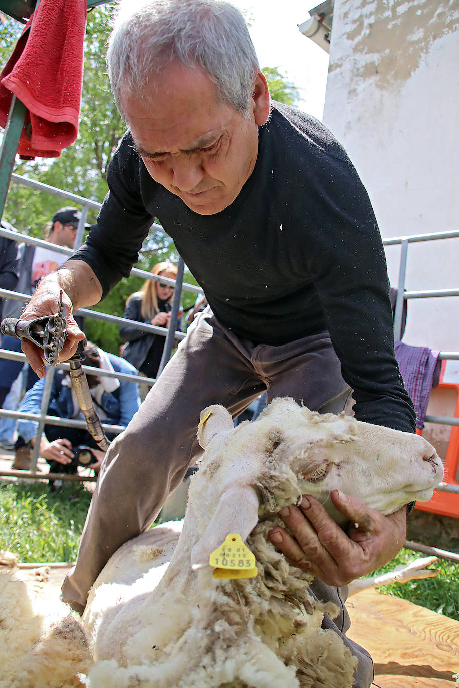 VI Feria del Carea de Cerezales del Condado