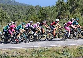 Maglia cumple objetivos en la primera parte de la temporada.