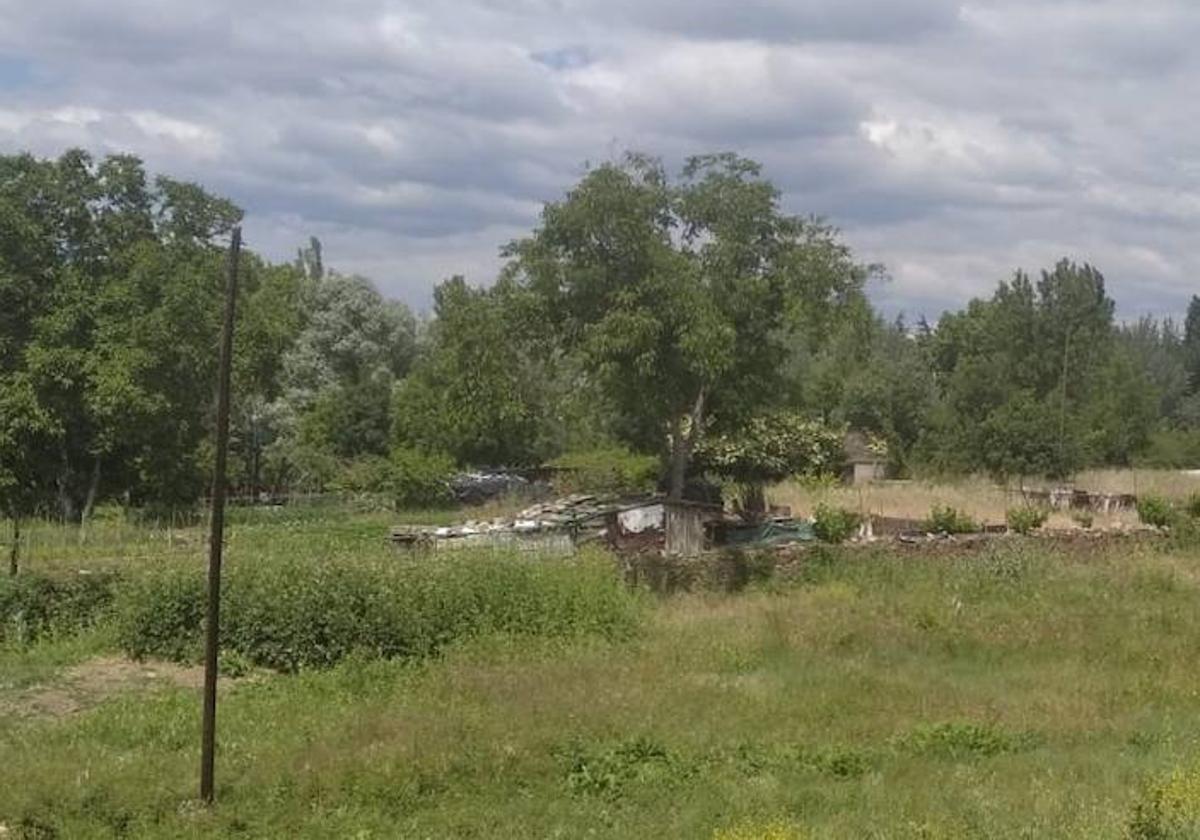 Línea de cable afectada por el robo de cobre que afecta a los arrendatarios de las huertas situadas en el barrio de los Judíos de Ponferrada.