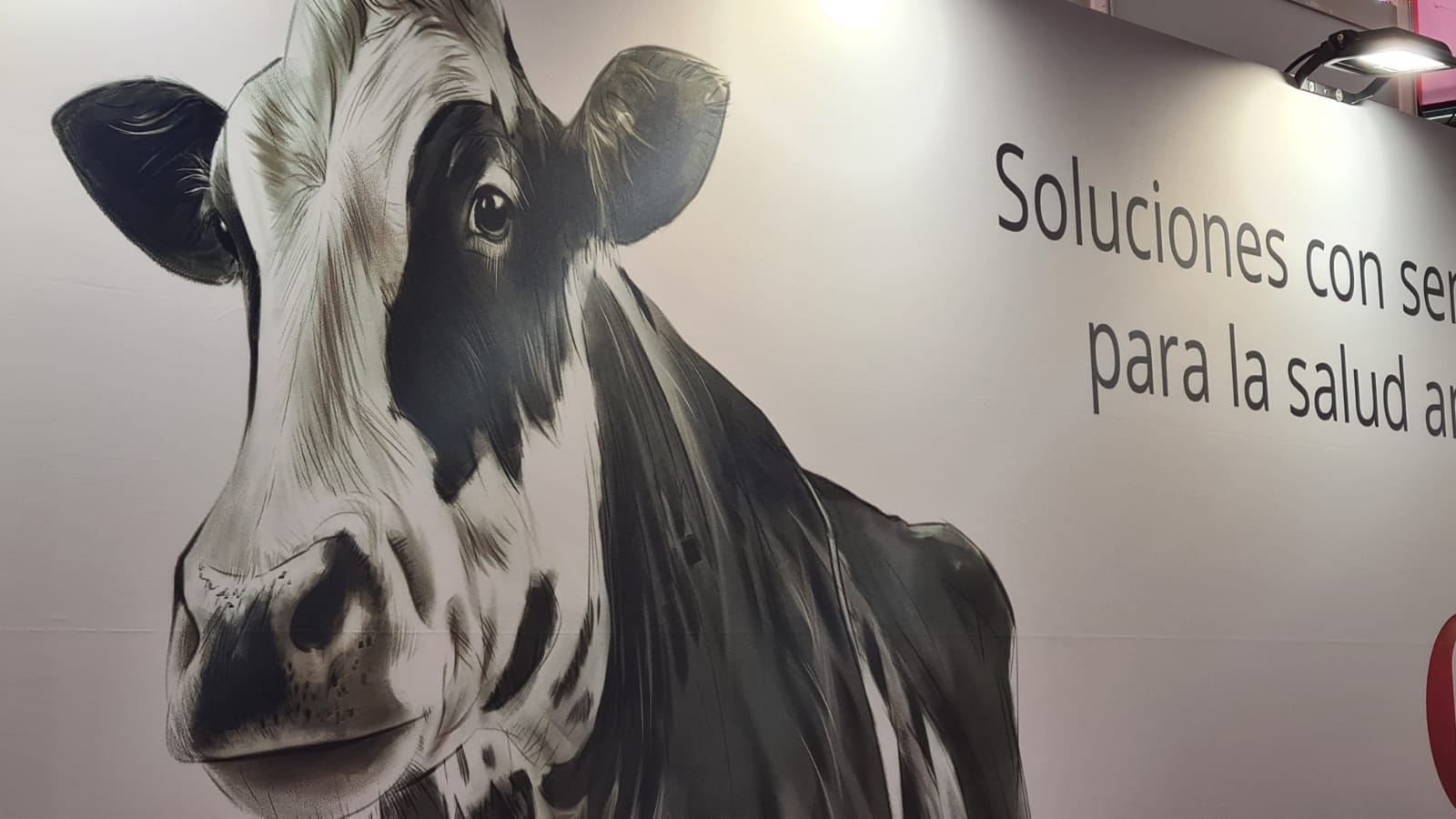 XVV Congreso Internacional de Medicina Bovina en León