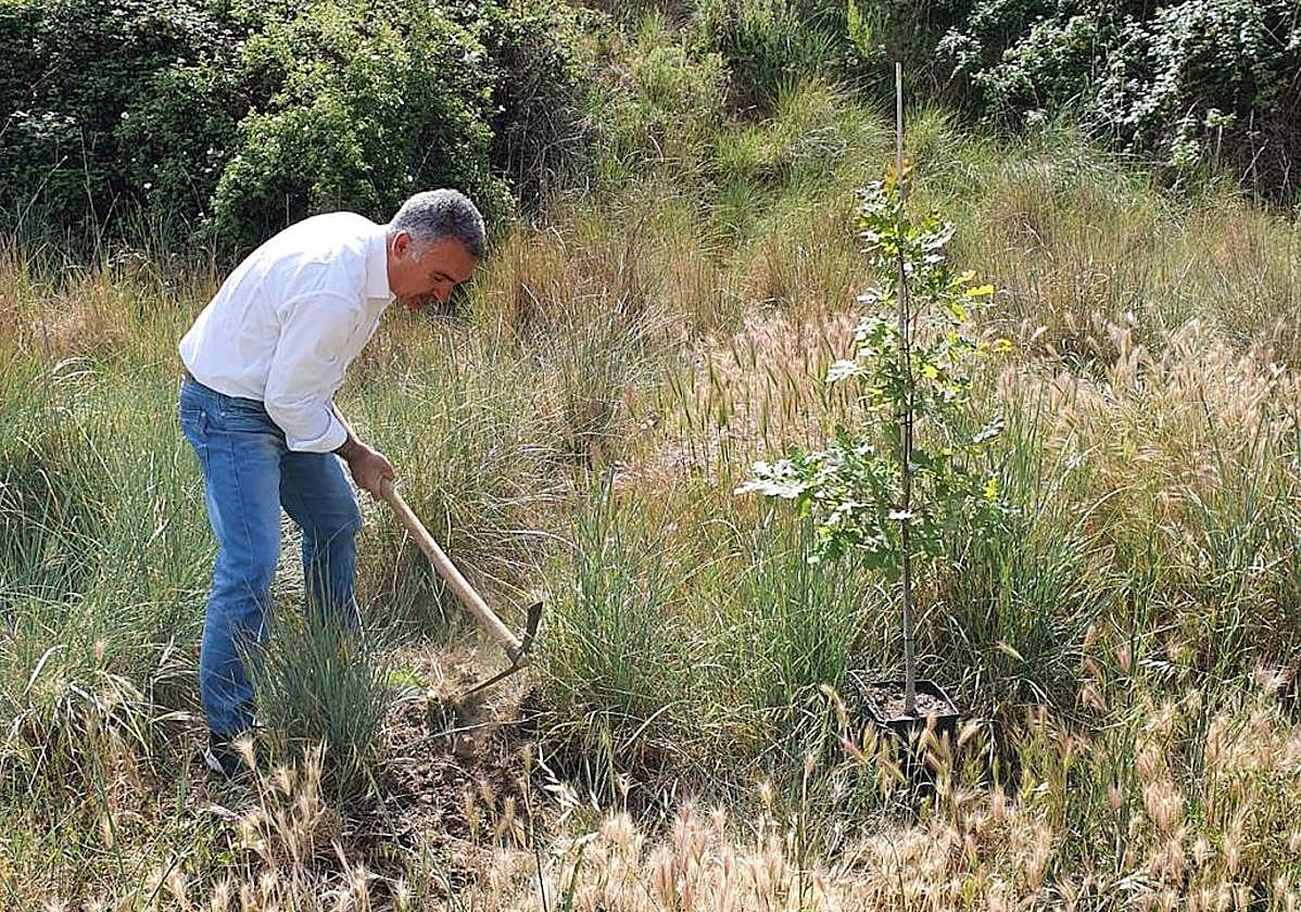 Nicanor Pastrana planta árboles en la ciudad de León.