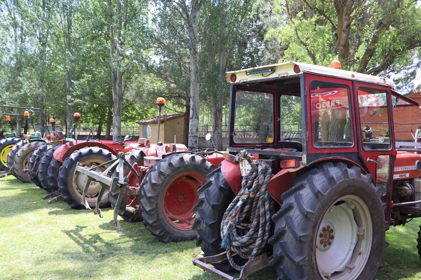 Concentración de tractores antiguos