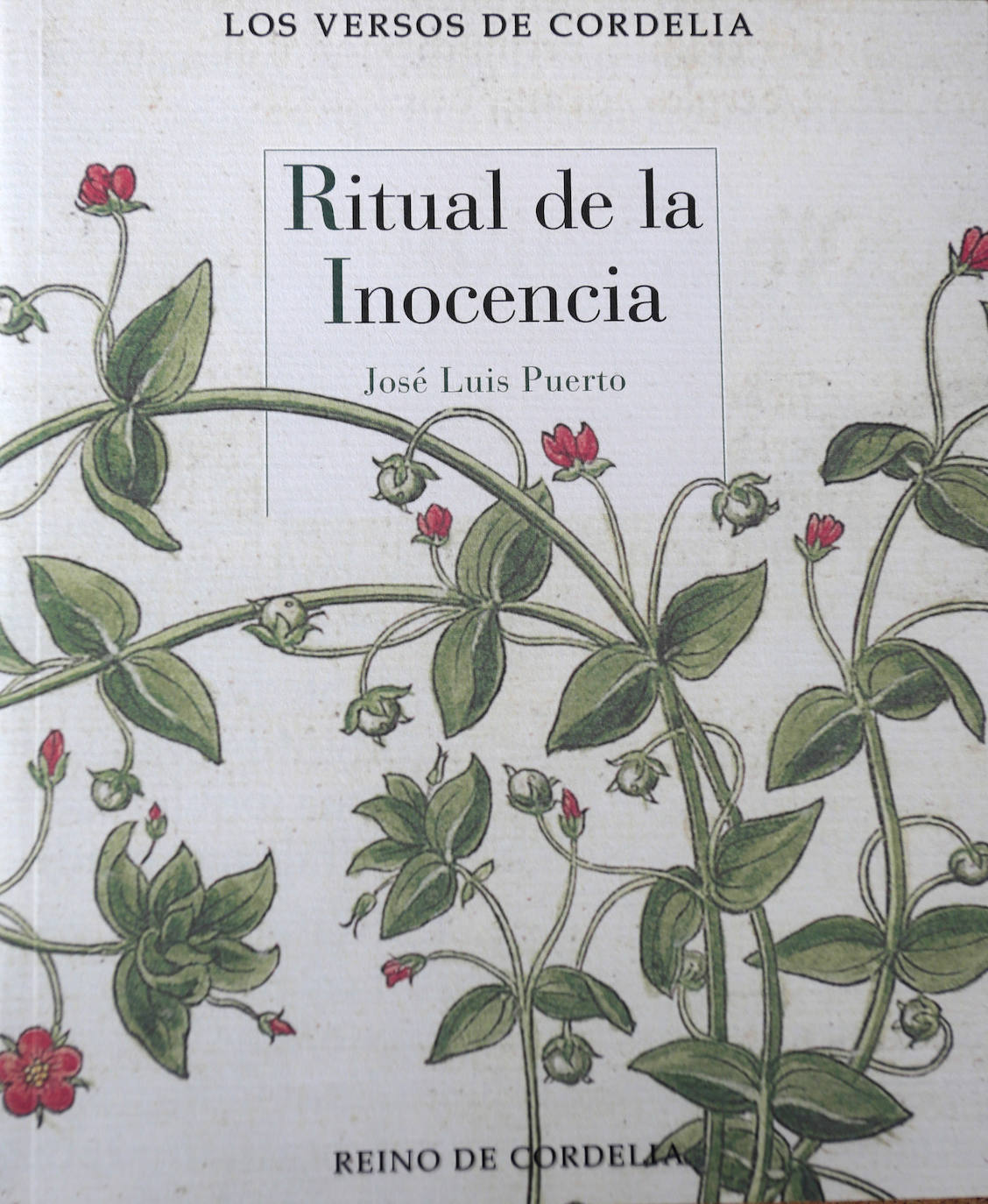 &#039;Ritual de la Inocencia&#039;