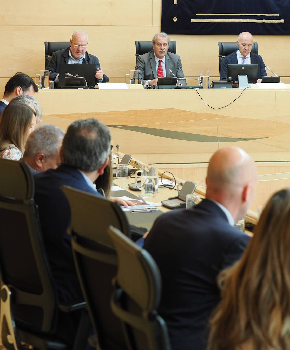 Comparecencia del presidente del Consejo Consultivo